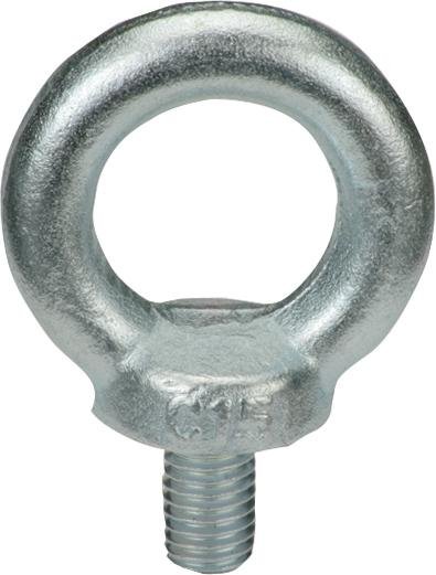 DIN 580 C15E galZn M 6 HPVE 50 E-NORMpro