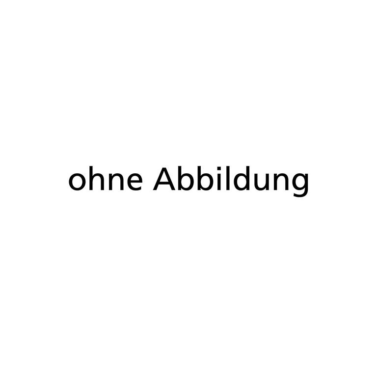 Maßstab DIN866 A 1000x40x 8mm FORUM